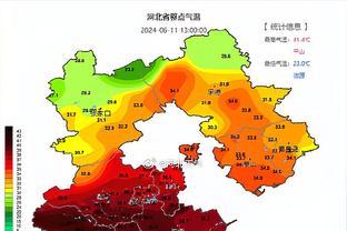 缺兵少将！队记：克里斯蒂文森特范德彪雷迪什全明星周末后复查